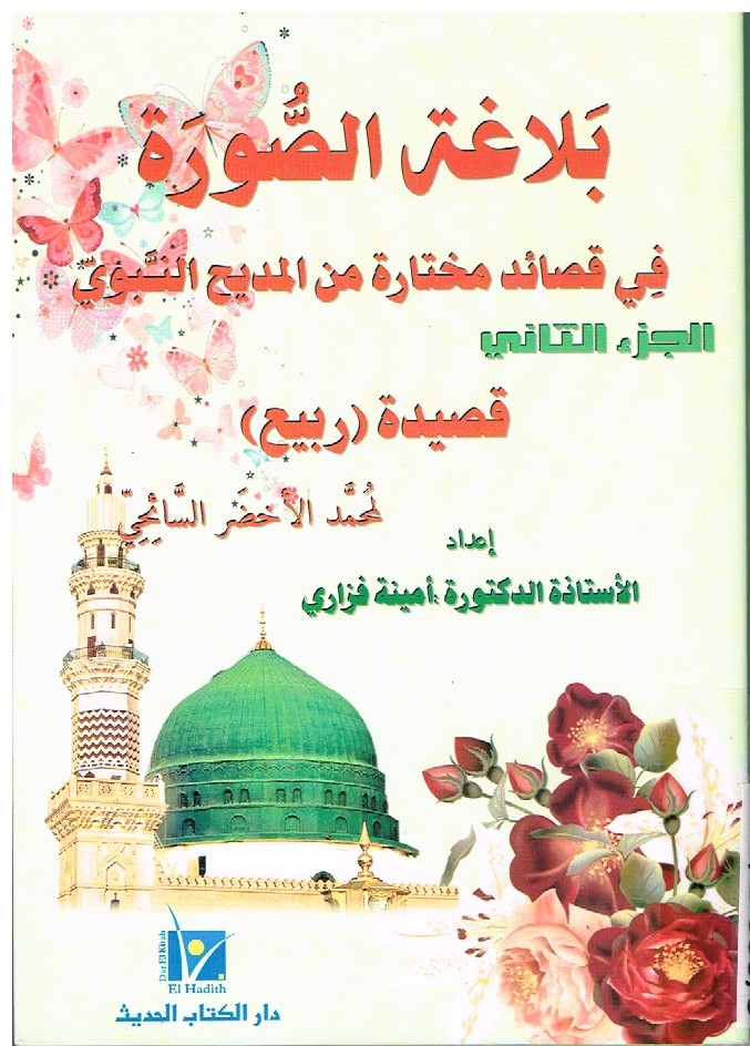 Read more about the article بلاغة الصورة في قصائد مختارة من المديح النبوي الجزء الثاني